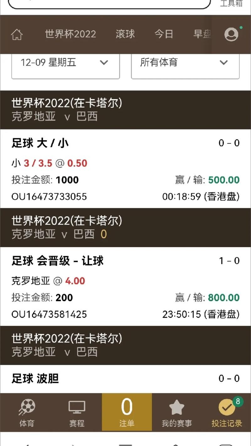 世界杯期间最值得信赖的下注平台